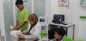 Daftar Klinik Hewan Di Seluruh Kecamatan Di Jakarta Pusat Layanan Hewan Kesayangan